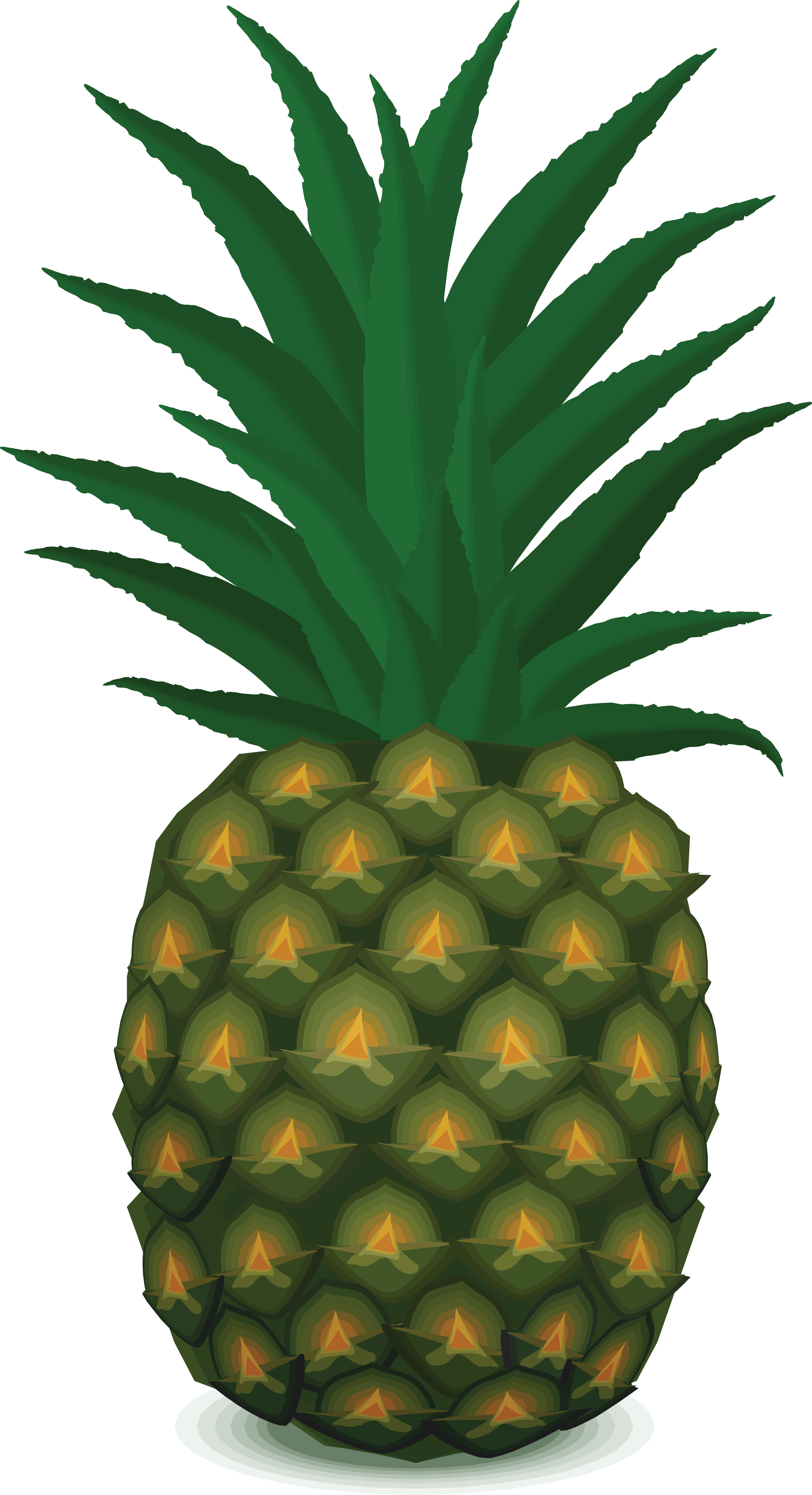 Pineapple Png Image Download Transparent PNG Image