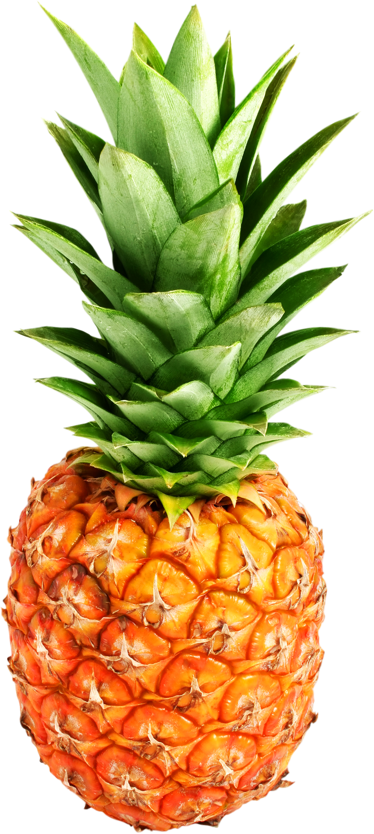 Pineapple Png Clipart Transparent PNG Image