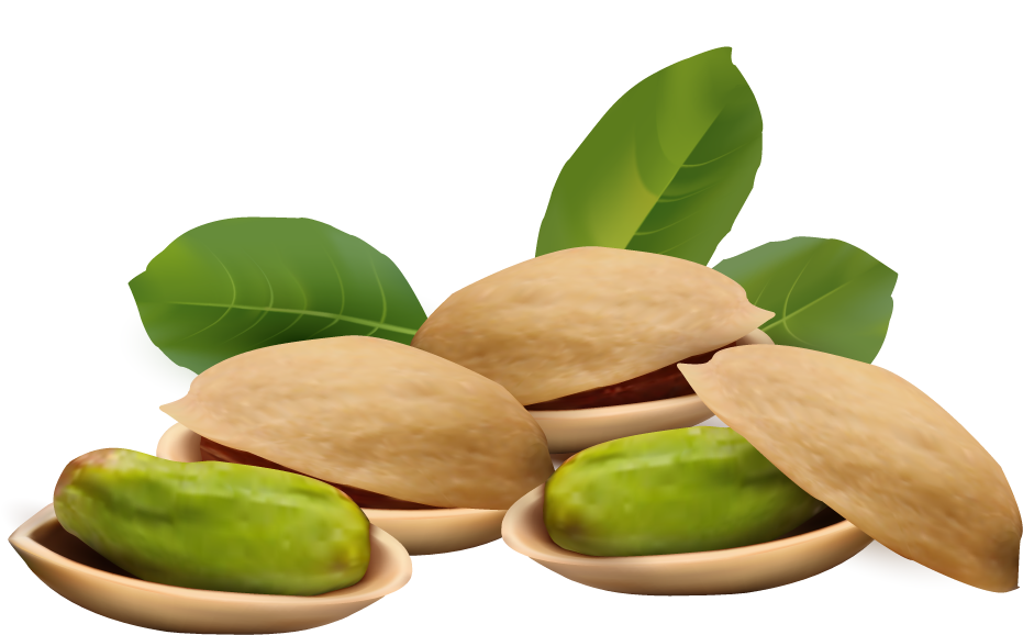 Pistachio Png File Transparent PNG Image