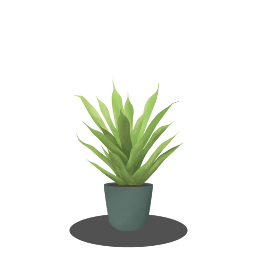 Vera Potted Aloe Download HQ Transparent PNG Image