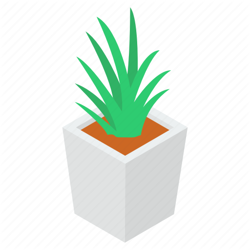 Vera Potted Aloe PNG Free Photo Transparent PNG Image