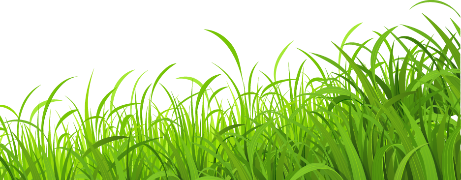 Fresh Lawn Wallpaper Grass Meadow Download HD PNG Transparent PNG Image