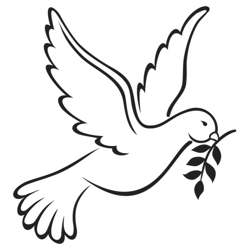 Columbidae Peace Symbols As Beak White Doves Transparent PNG Image