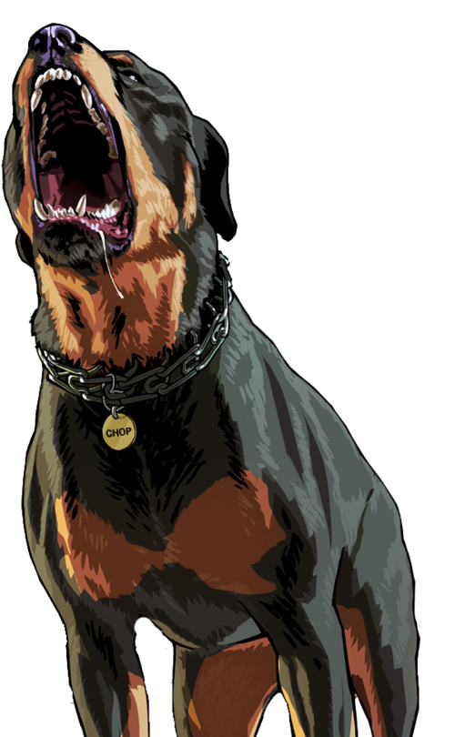 Rottweiler Andreas San Carnivoran Auto Chinatown Wars Transparent PNG Image