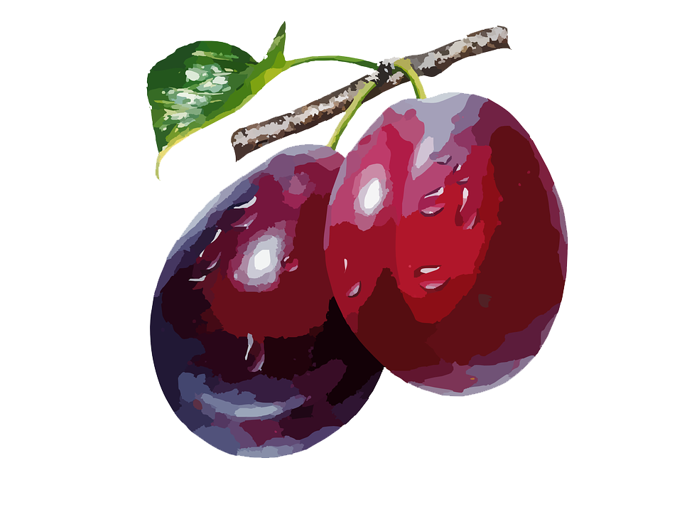 Plum High-Quality Png Transparent PNG Image