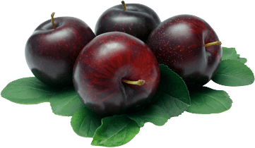 Plum Png Image Transparent PNG Image