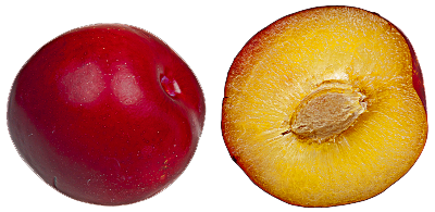 Plum Clipart Transparent PNG Image