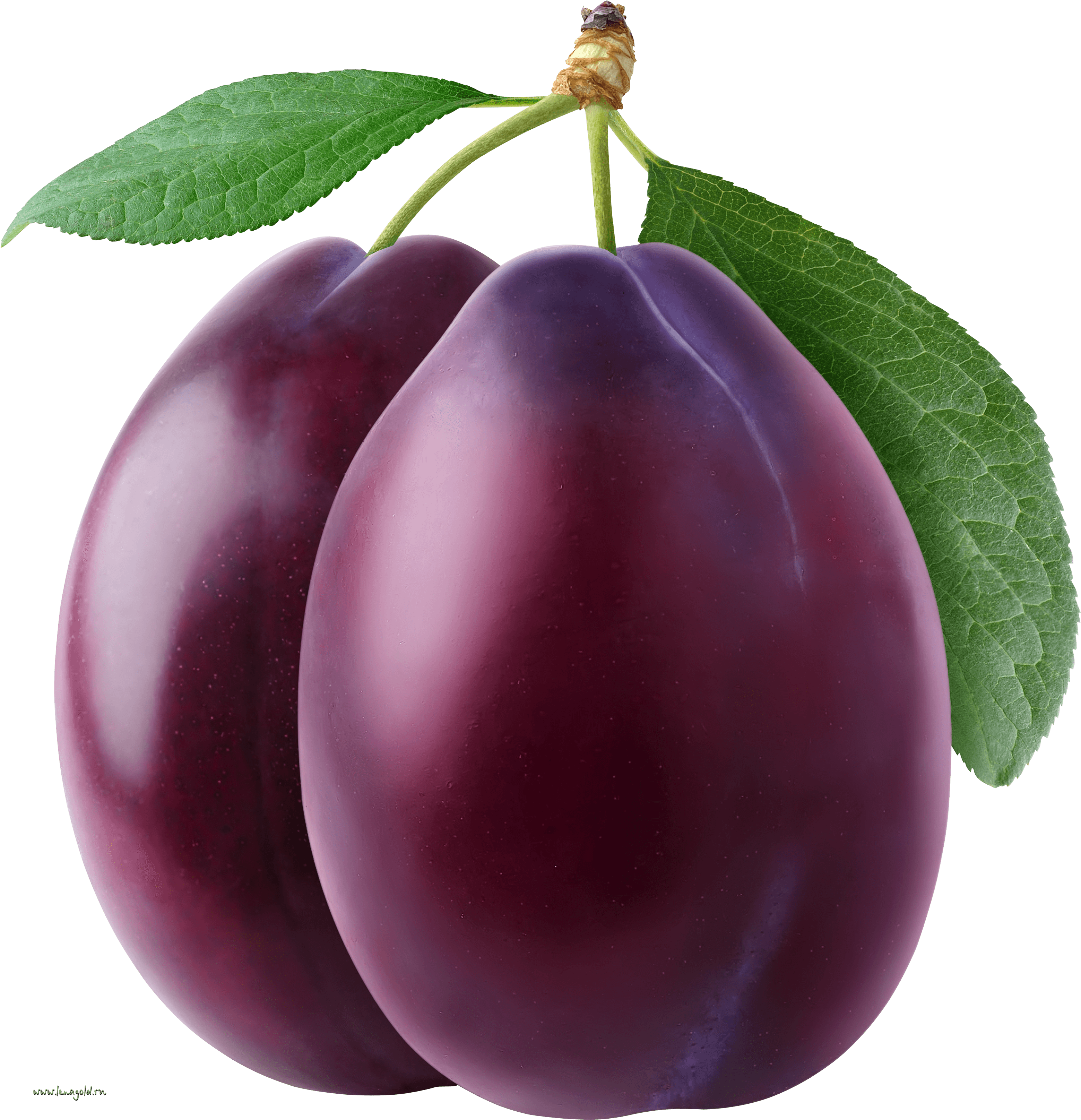 Plum Png Image Transparent PNG Image