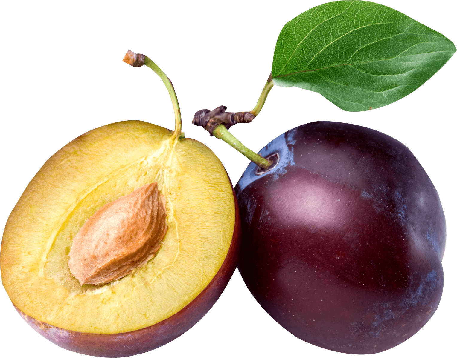 Plum Png Image Transparent PNG Image