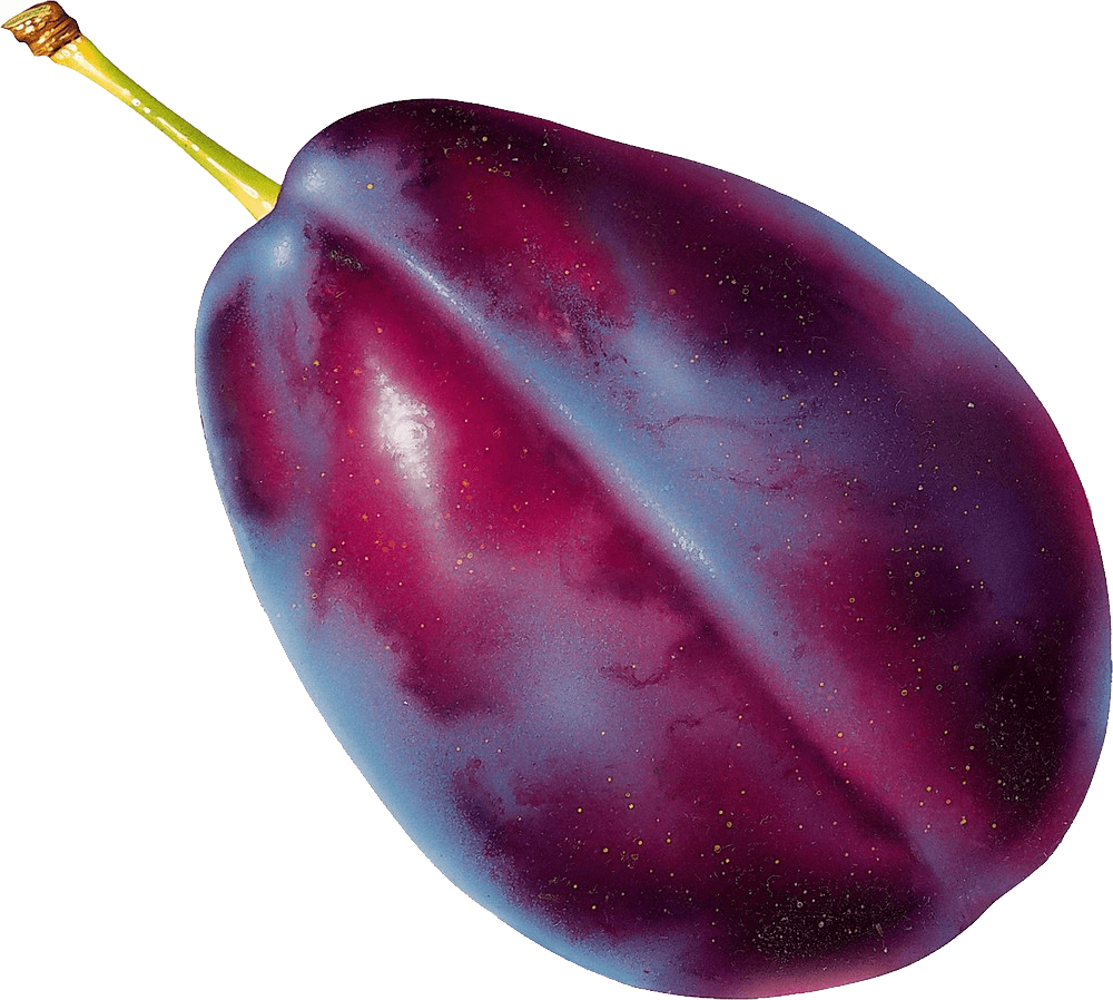 Plum Png Image Transparent PNG Image