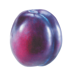 Plum Png Image Transparent PNG Image