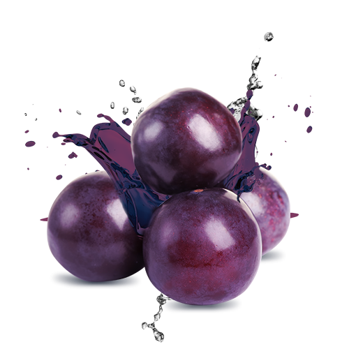 Plum Png File Transparent PNG Image