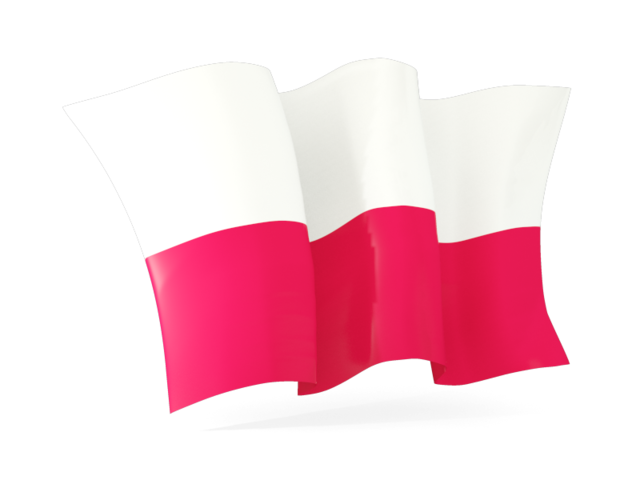 Poland Flag Transparent Transparent PNG Image