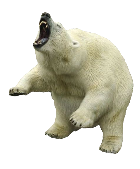 Polar Bear Clipart Transparent PNG Image