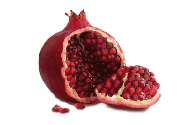 Pomegranate Png Image Transparent PNG Image