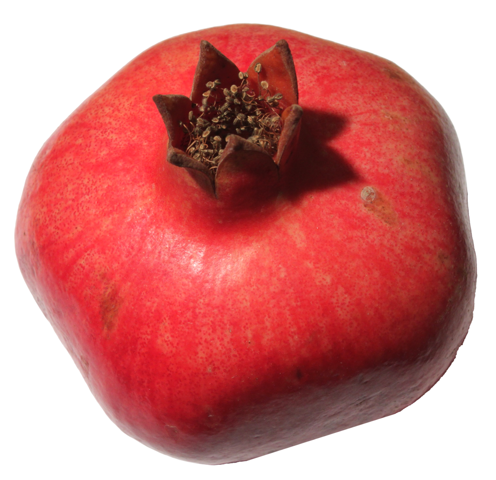 Pomegranate Transparent Transparent PNG Image