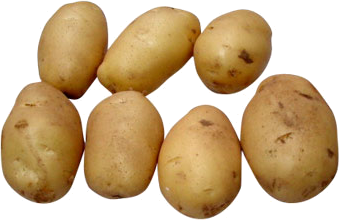 Potato Png Hd Transparent PNG Image