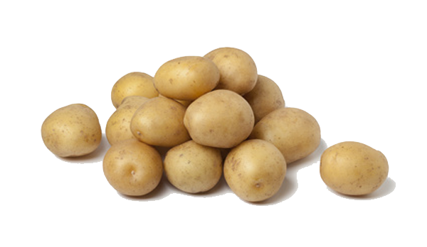 Potato Transparent Transparent PNG Image