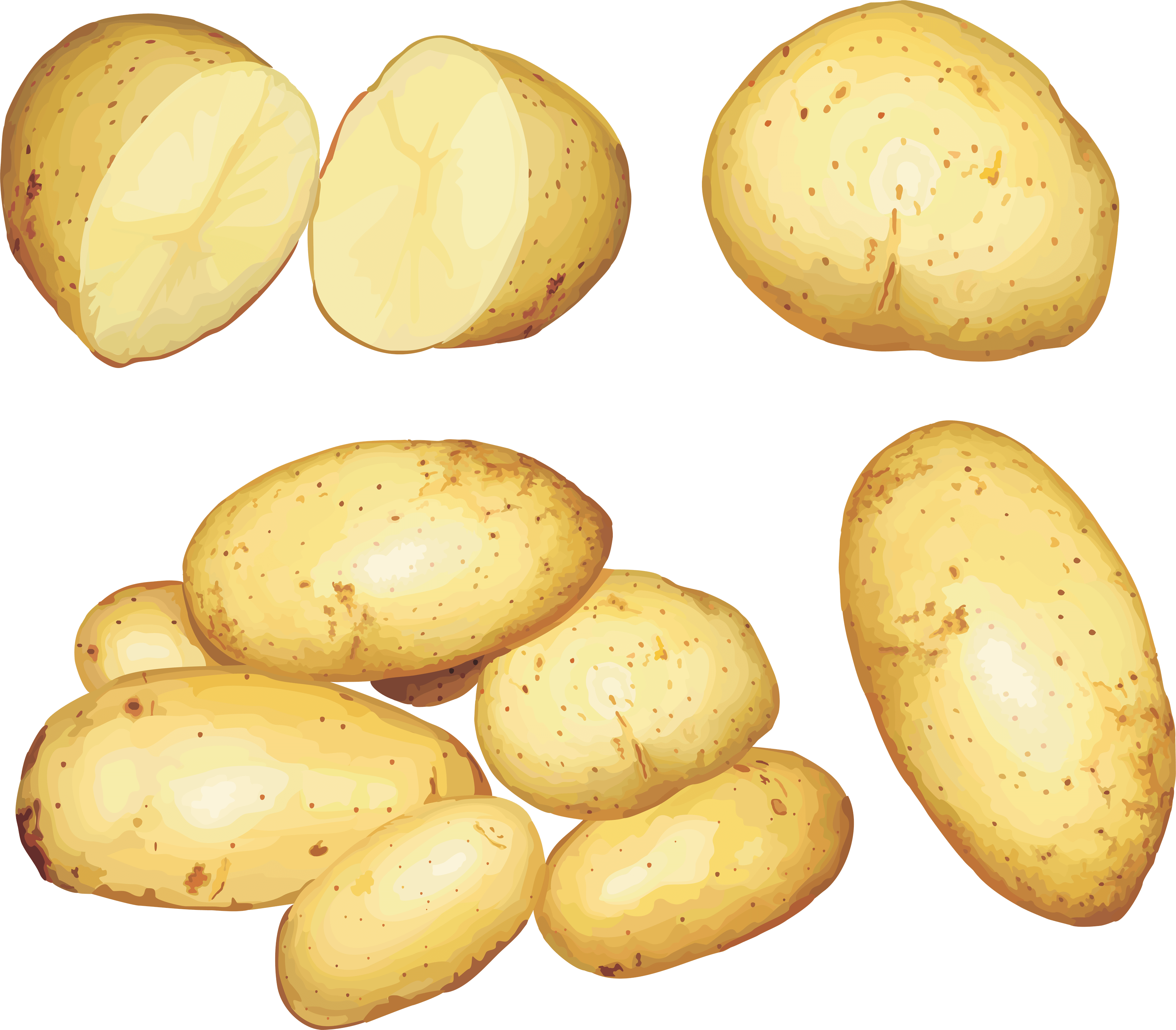 Potato Png Images Transparent PNG Image