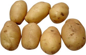 Potato Png Images Pictures Download Transparent PNG Image