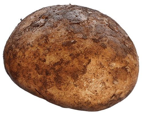 Potato Png Images Pictures Download Transparent PNG Image