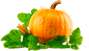 Pumpkin Png Clipart Transparent PNG Image