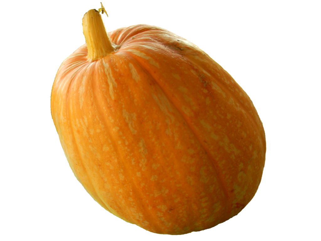 Real Pumpkin Transparent Image Transparent PNG Image