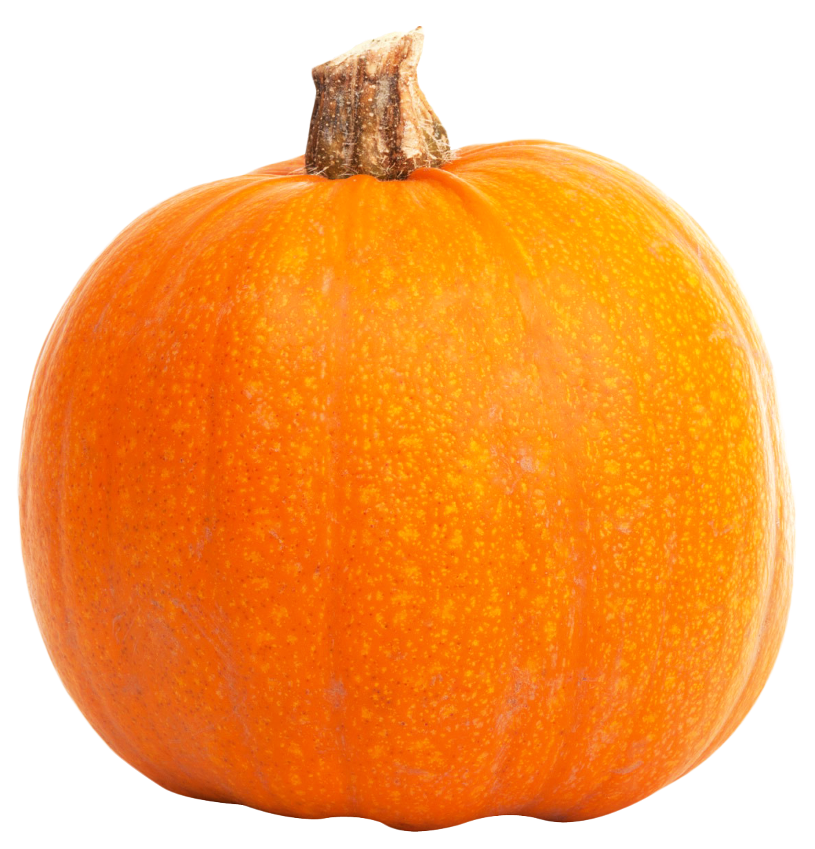 Real Pumpkin File Transparent PNG Image