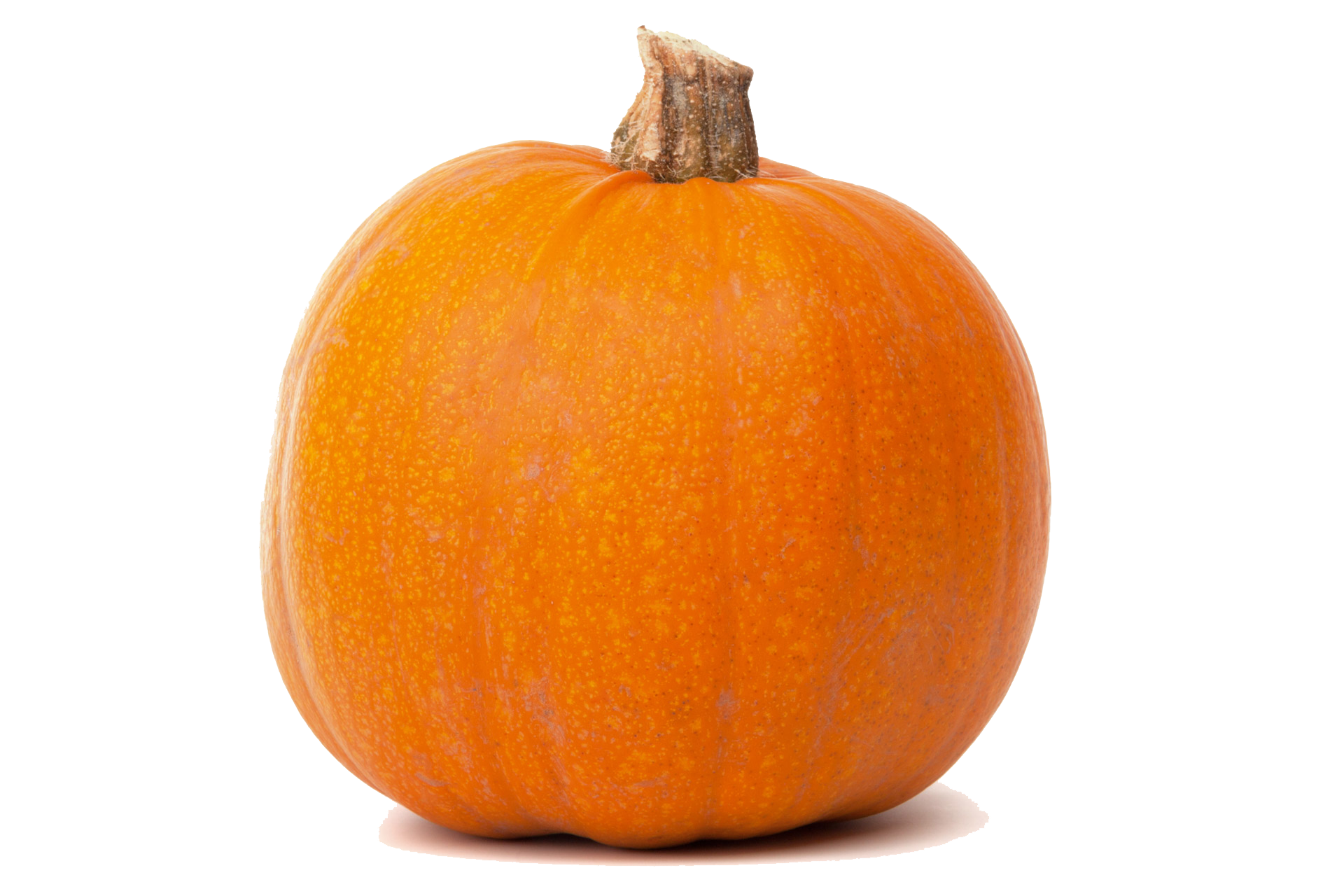 Real Pumpkin Transparent Transparent PNG Image