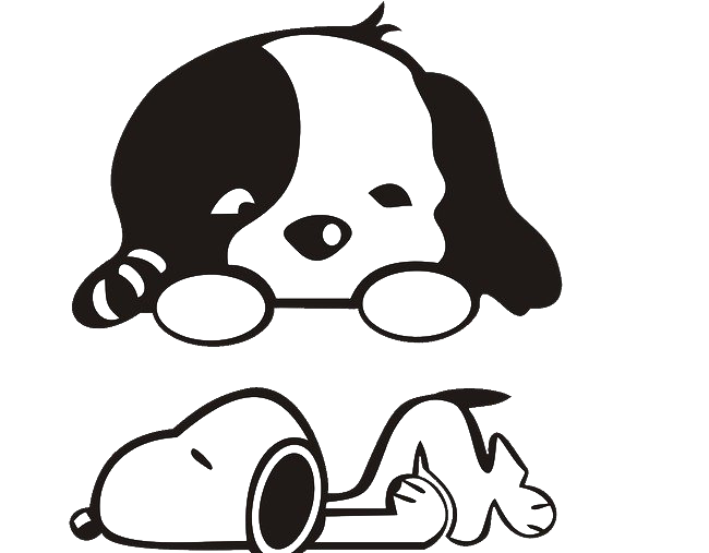 And White Puppy Black Pic Transparent PNG Image