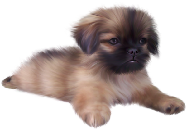 Puppy File Transparent PNG Image