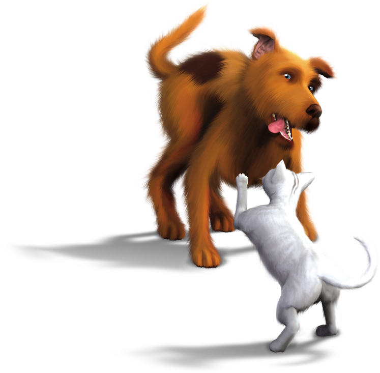 Sims Carnivoran Tail Cats Pets Dogs Transparent PNG Image