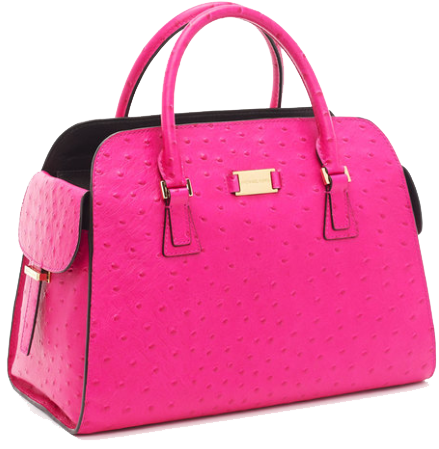 Purse Picture Transparent PNG Image