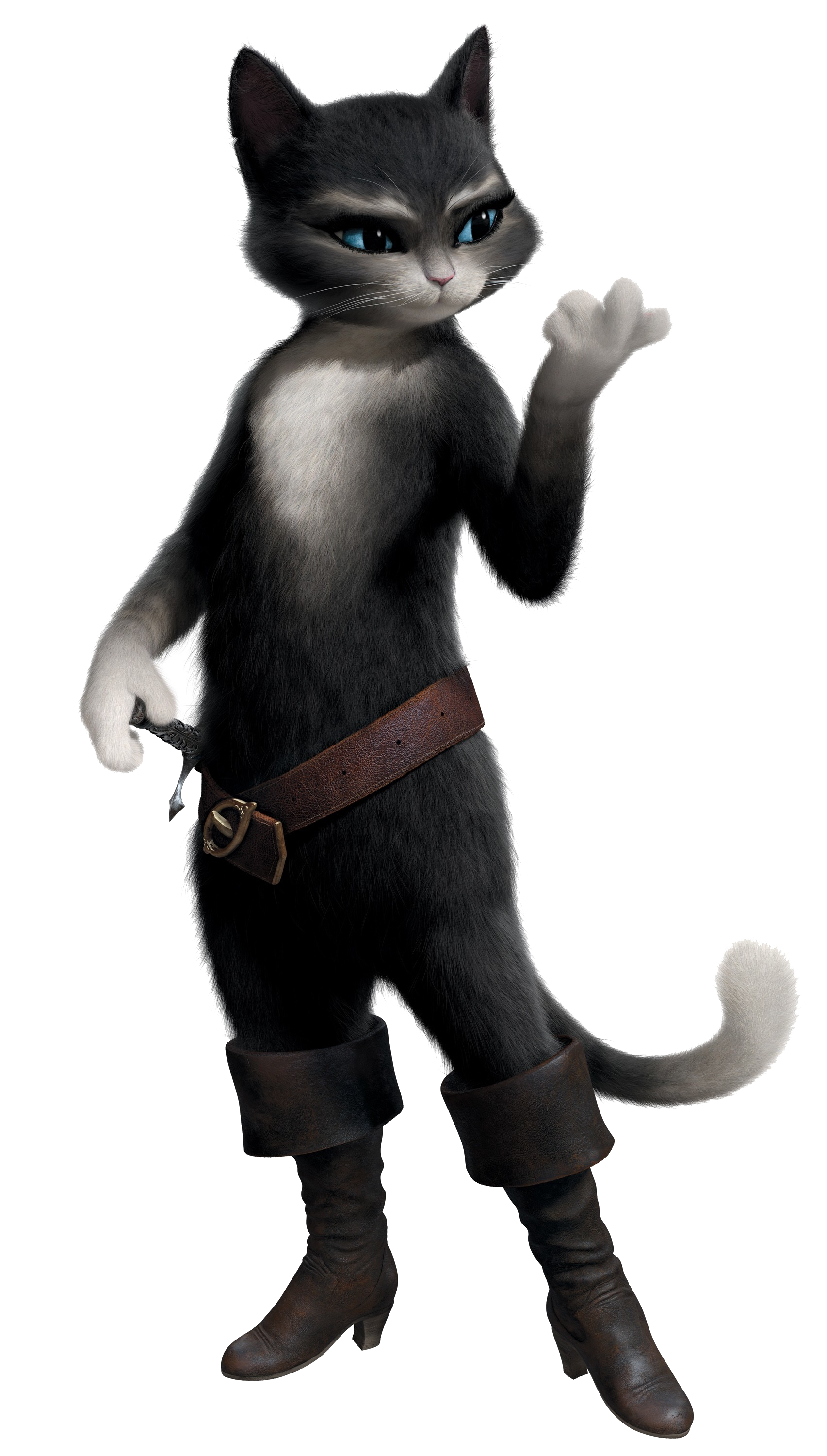 Puss In Boots Photos Transparent PNG Image