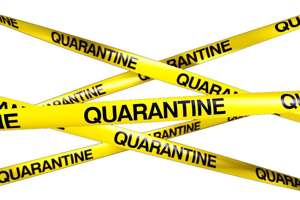 Quarantine PNG Image High Quality Transparent PNG Image