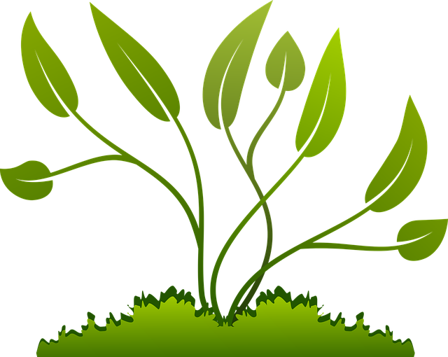 Grow PNG File HD Transparent PNG Image