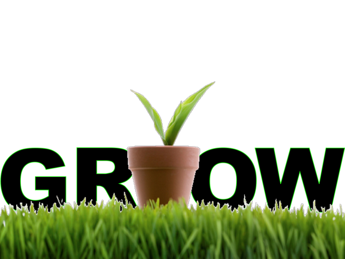 Grow Free Transparent Image HQ Transparent PNG Image