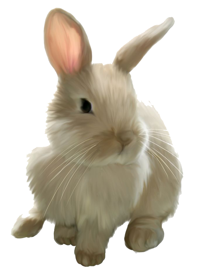 Easter Rabbit Image Transparent PNG Image