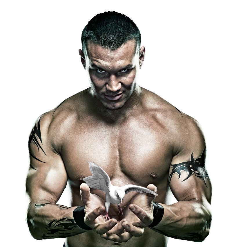 Randy Orton Png Clipart Transparent PNG Image