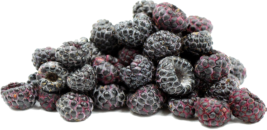 Black Raspberries File Transparent PNG Image