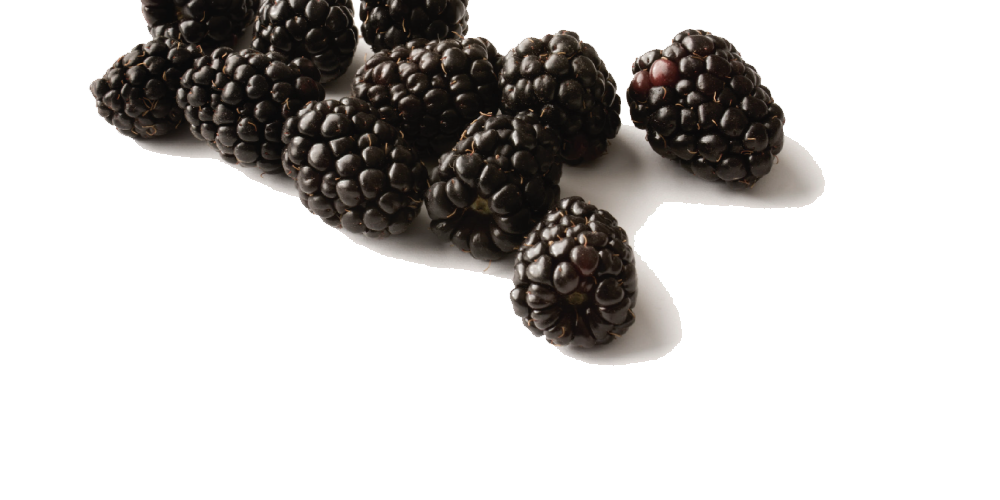 Black Raspberries Free Download Transparent PNG Image