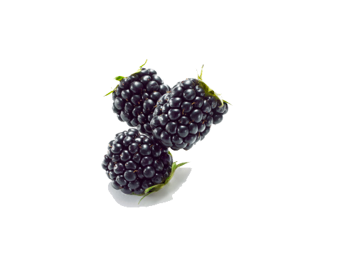 Black Raspberries Image Transparent PNG Image