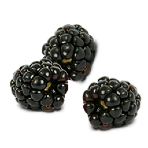 Black Raspberries Transparent PNG Image