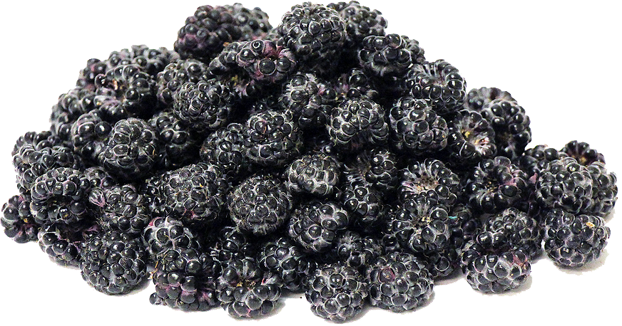 Black Raspberries Transparent Image Transparent PNG Image