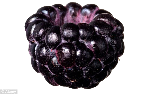 Black Raspberries Transparent Transparent PNG Image