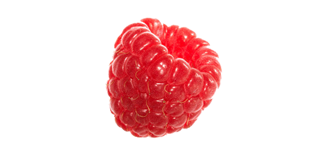 Raspberry Transparent Transparent PNG Image