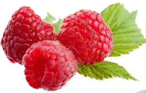 Raspberry Png File Transparent PNG Image