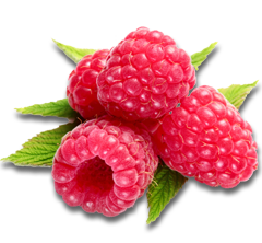 Raspberry Picture Transparent PNG Image