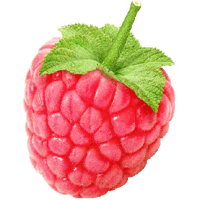 Rraspberry Png Image Transparent PNG Image