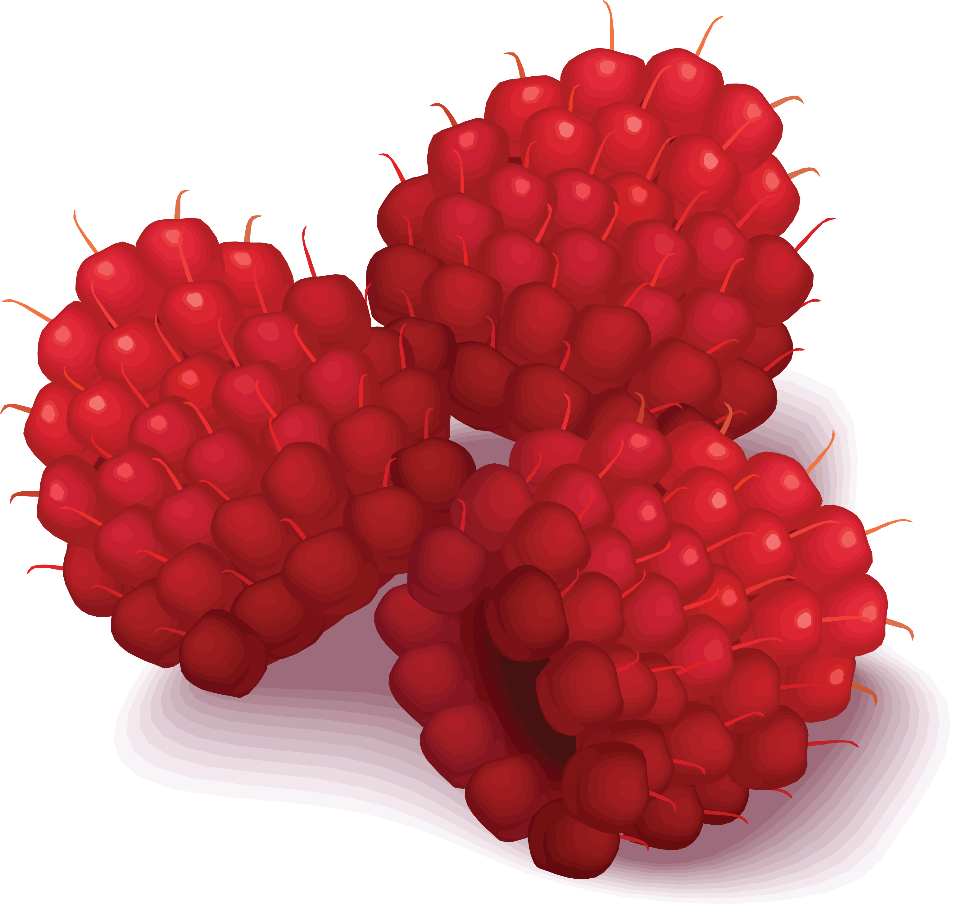 Rraspberry Png Image Transparent PNG Image